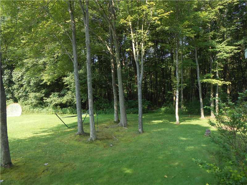 1217 Mud Bridge Road Enon Valley, PA 16120 - Photo 3 of 17 Yard/Garden.