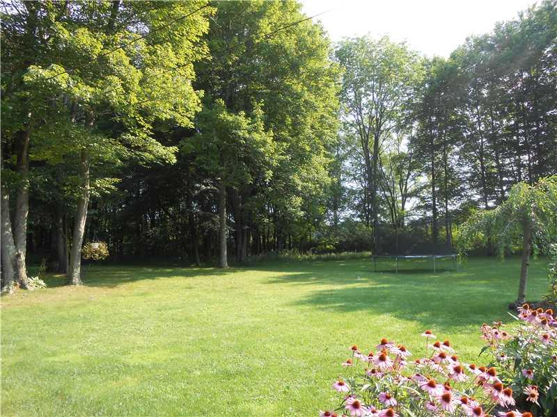 1217 Mud Bridge Road Enon Valley, PA 16120 - Photo 8 of 17 Yard/Garden.