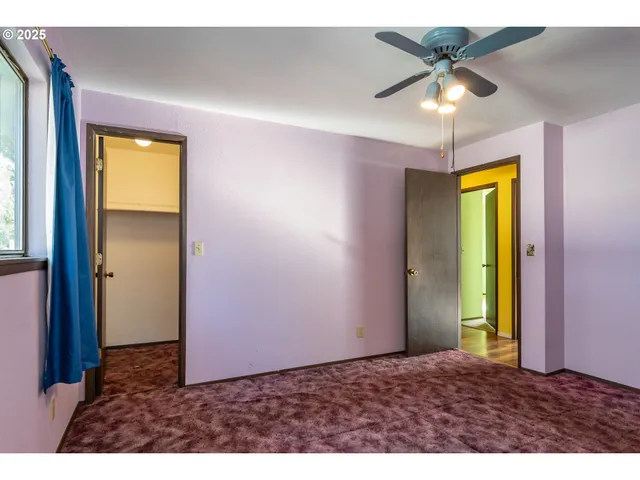 a view of a park with large trees