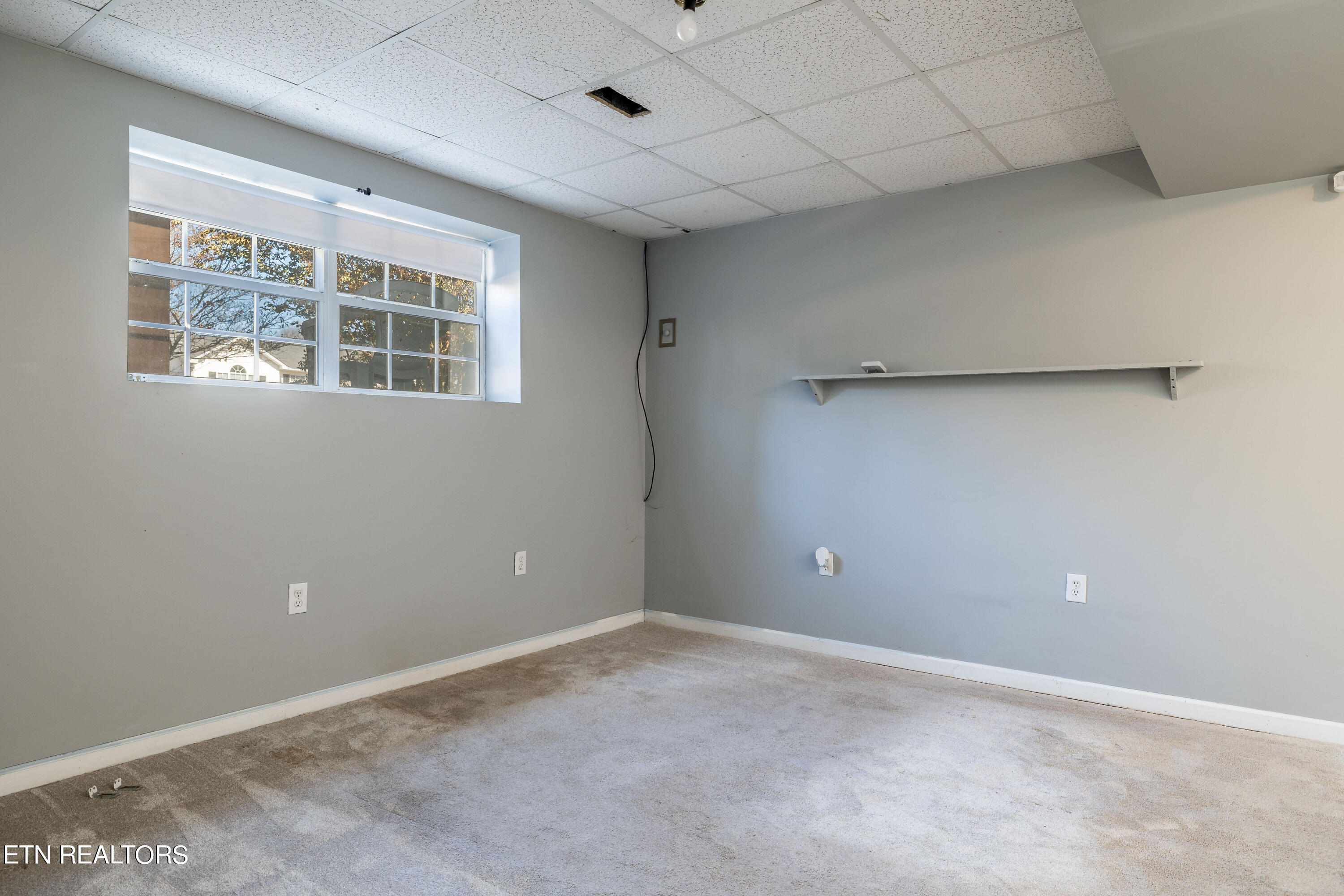 306 High Tower Road Maryville, TN 37804 - Photo 19 of 27 finished basement 2