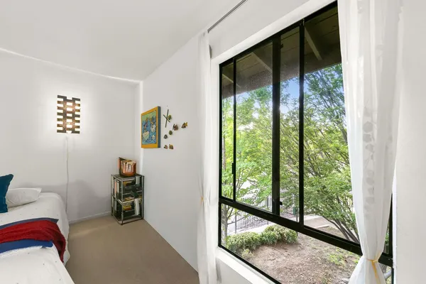 a view of a yard with plants and trees