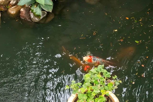 $215,000 | 2424 Larkspur Lane, Unit 216, Sacramento, CA 95825