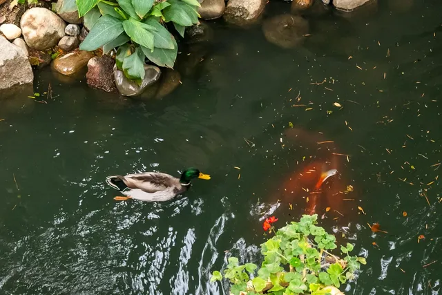 $215,000 | 2424 Larkspur Lane, Unit 216, Sacramento, CA 95825