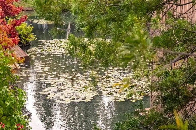 $215,000 | 2424 Larkspur Lane, Unit 216, Sacramento, CA 95825