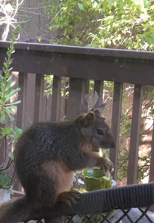 $199,000 | 2424 Larkspur Lane, Unit 216, Sacramento, CA 95825