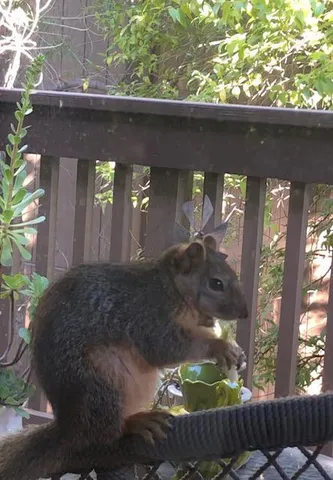 $215,000 | 2424 Larkspur Lane, Unit 216, Sacramento, CA 95825