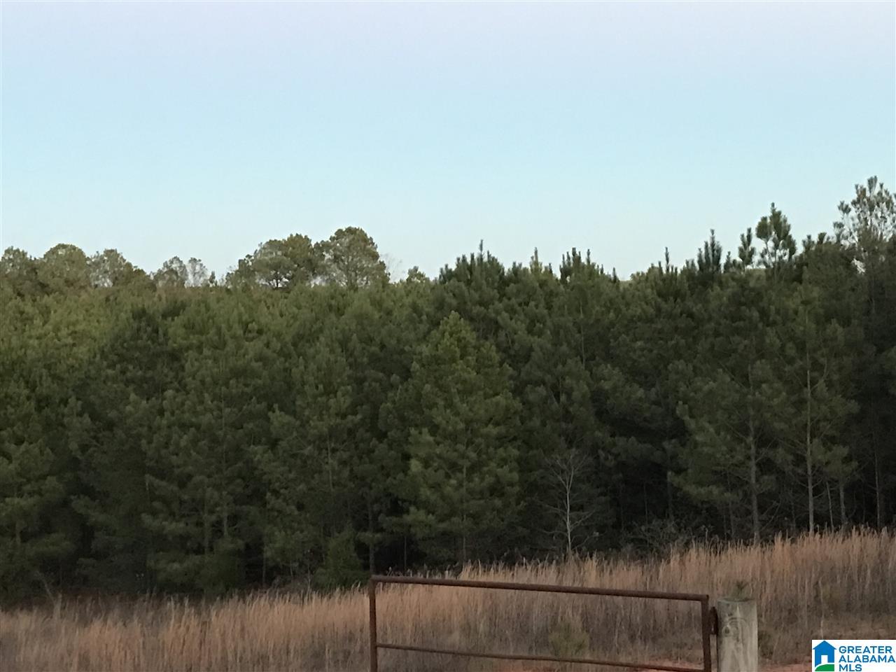 16056 House Road, Unit 16056 Brookwood, AL 35444 - Photo 3 of 11