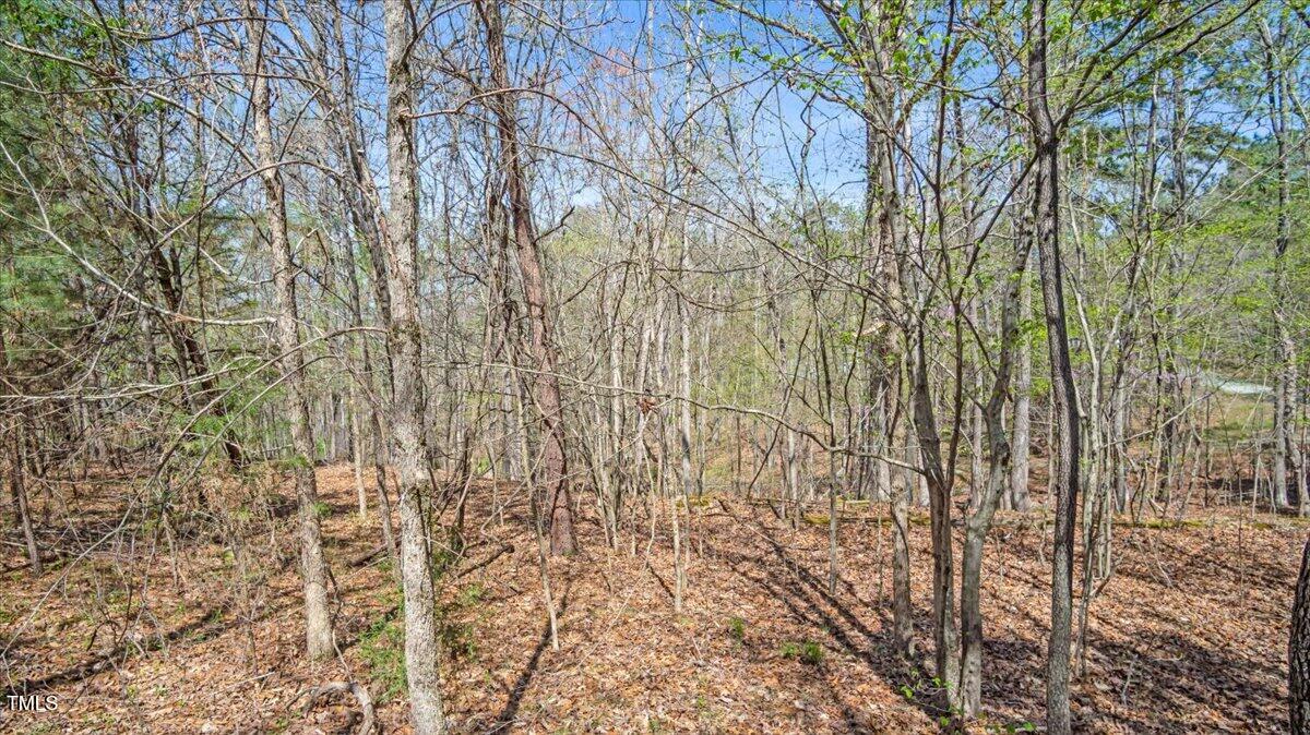 605 Lake Shore Road Semora, NC 27343 - Photo 11 of 11 14-Finished snowhill rd-14