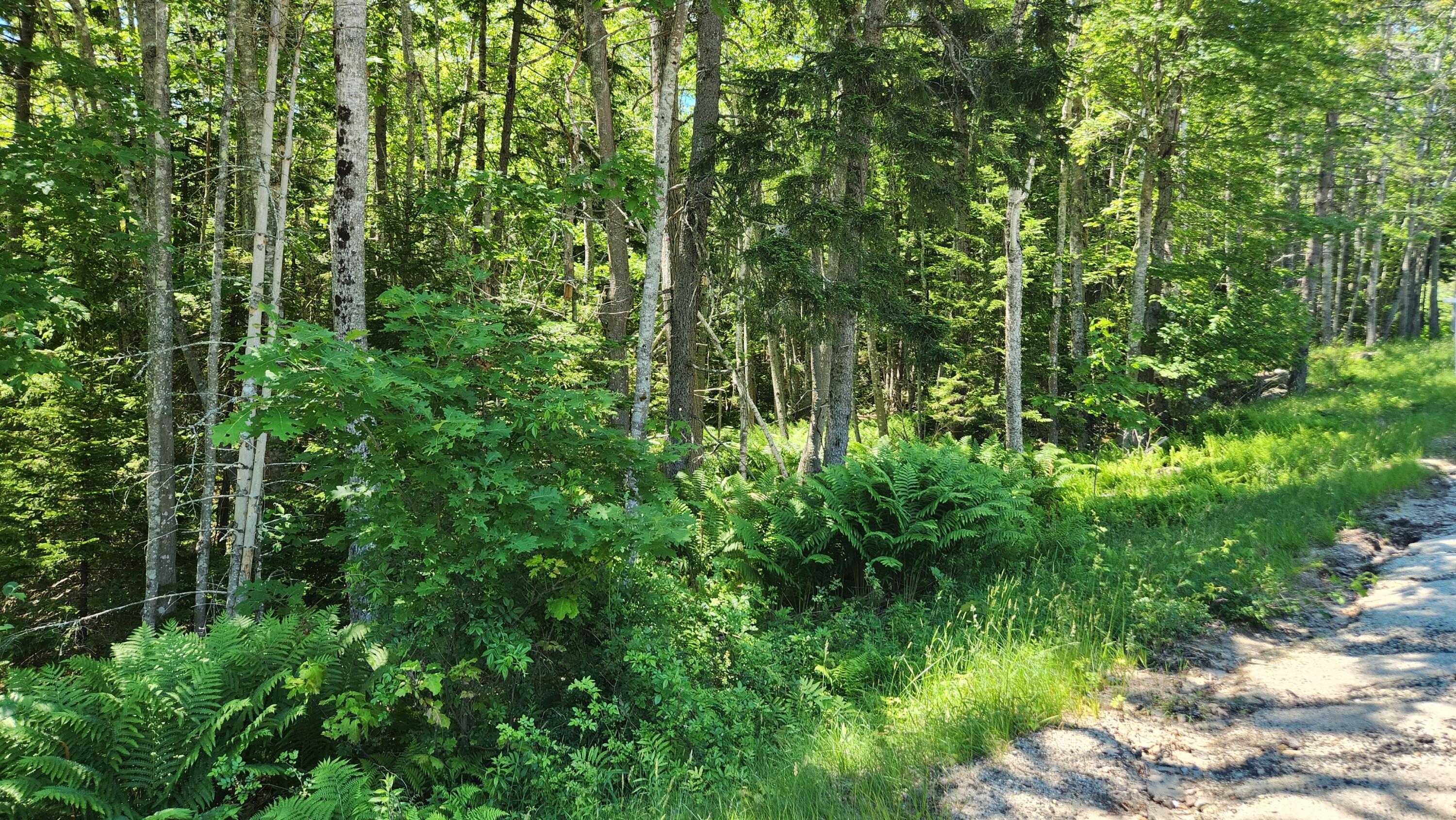 0 Sebasco Road Phippsburg, ME 04562 - Photo 5 of 19