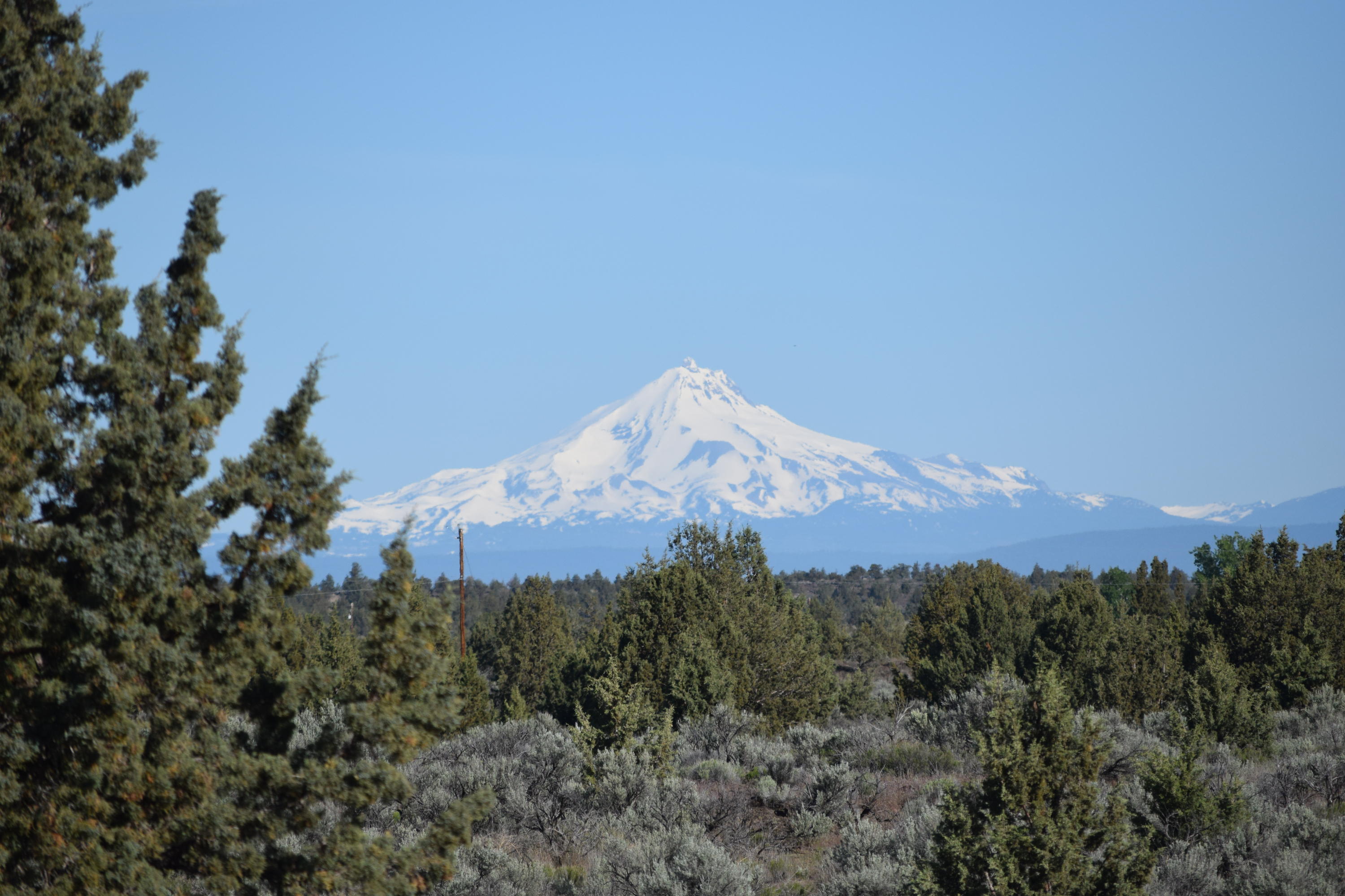 386 Southwest Ranchview Court Powell Butte, OR 97753 - Photo 5 of 23 DSC_1141