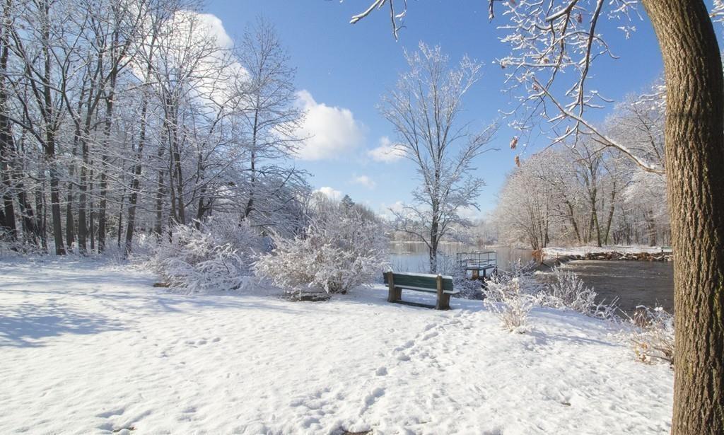 10 Haynes Road Framingham, MA 01701 - Photo 42 of 42 Gallery Image 42