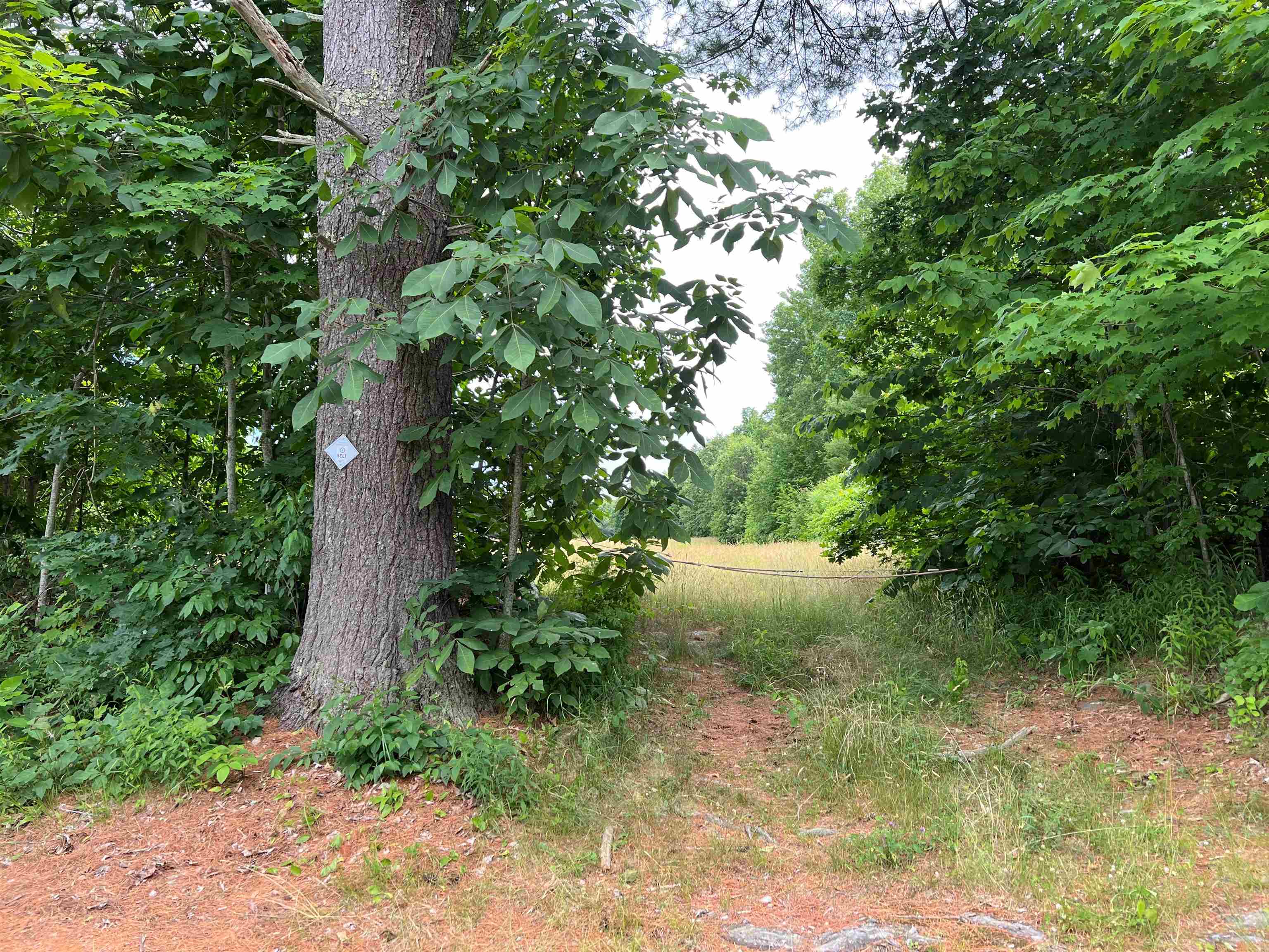 2-47-3 Back Road Danville, NH 03819 - Photo 2 of 6 Gallery Image 2