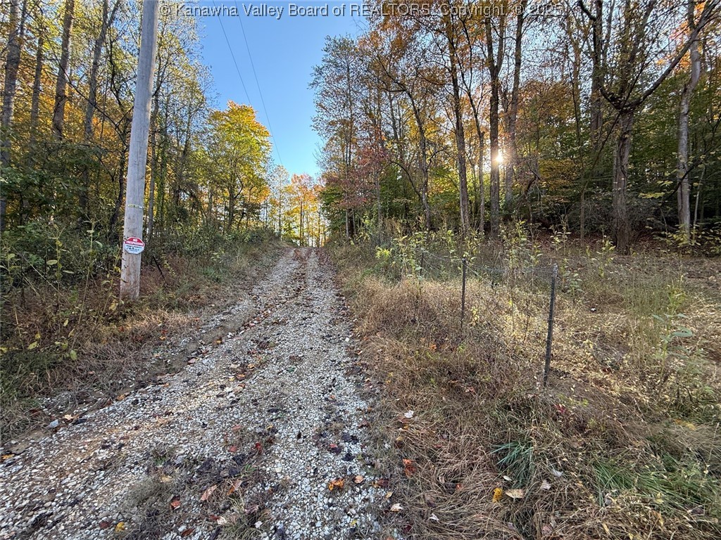 51 Abbey Road Charleston, WV 25311 - Photo 4 of 9 Gallery Image 4