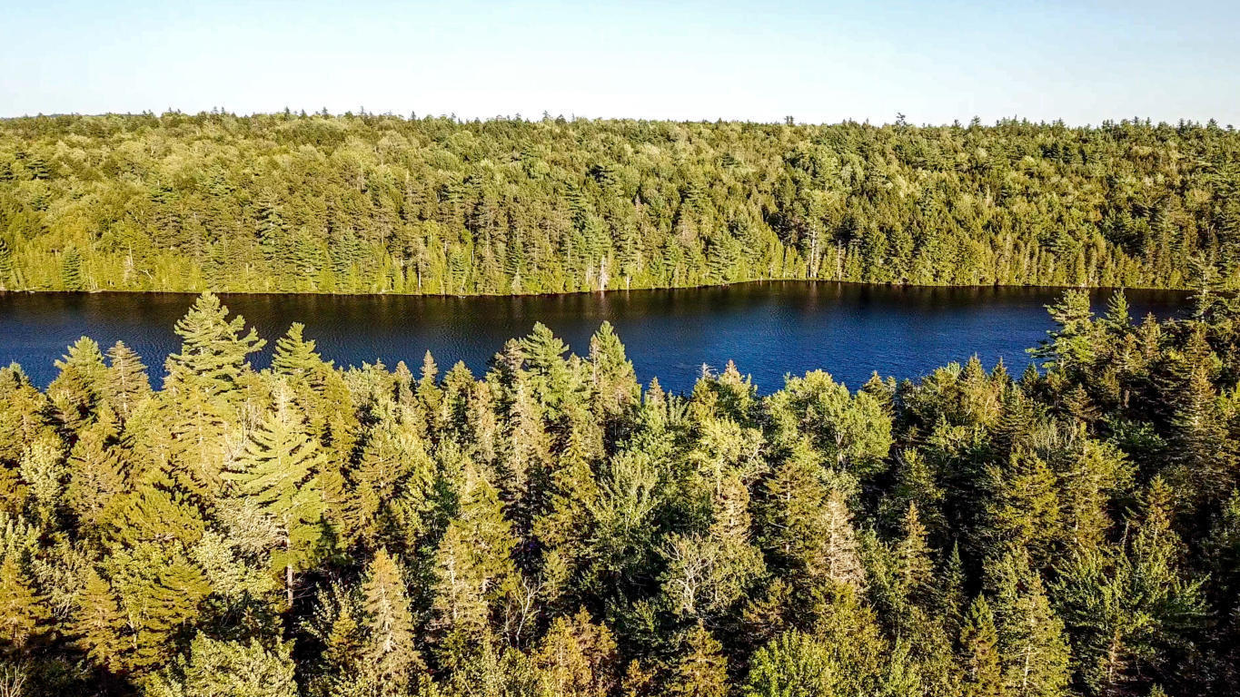 Lot 714 Ryder Road Wesley, ME 04686 - Photo 28 of 35 Peek Over Trees