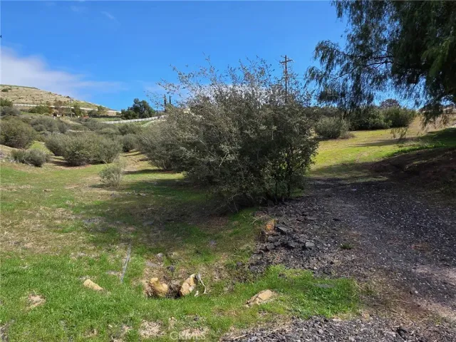 a view of a field with an trees