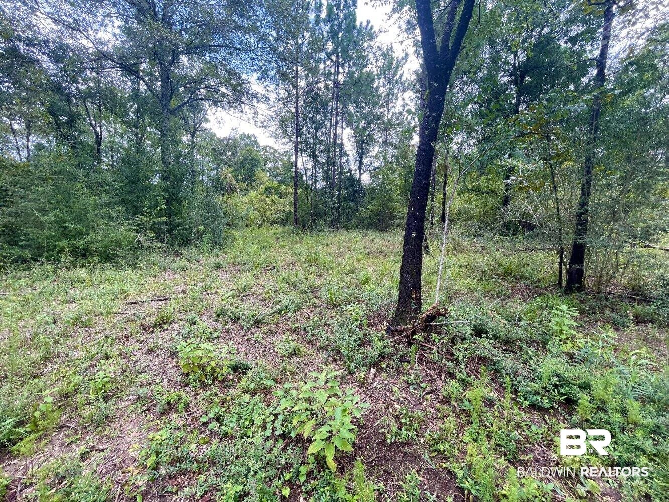 0 Albert Evans Road Wilmer, AL 36587 - Photo 10 of 14