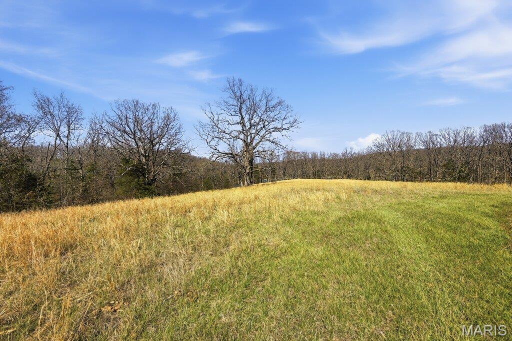 7 Kirsten Lane Rhineland, MO 65069 - Photo 14 of 27