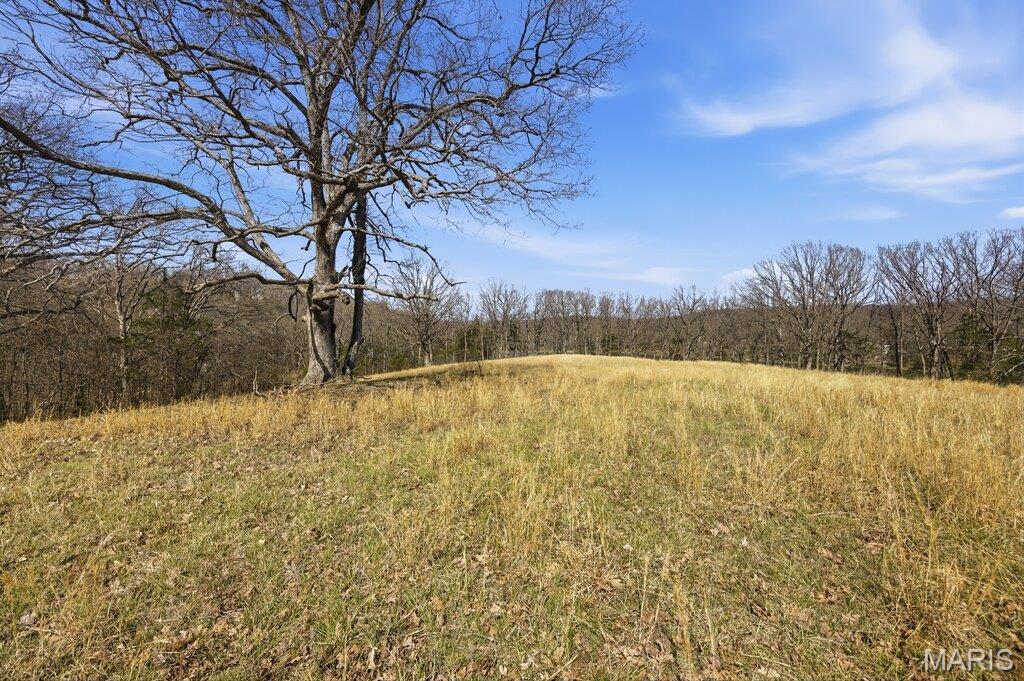 7 Kirsten Lane Rhineland, MO 65069 - Photo 26 of 27