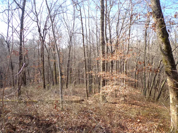 $35,000 | 0 Deer Grass Lane, Hurricane Mills, TN 37078