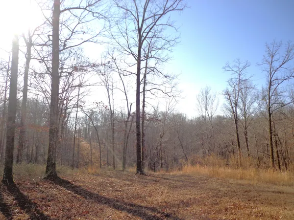 a view of backyard of a house