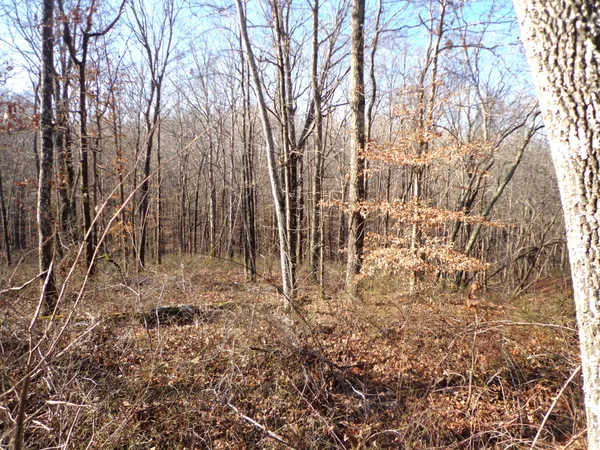 a view of a yard covered in snow