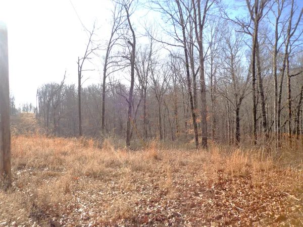 a view of wooden fence