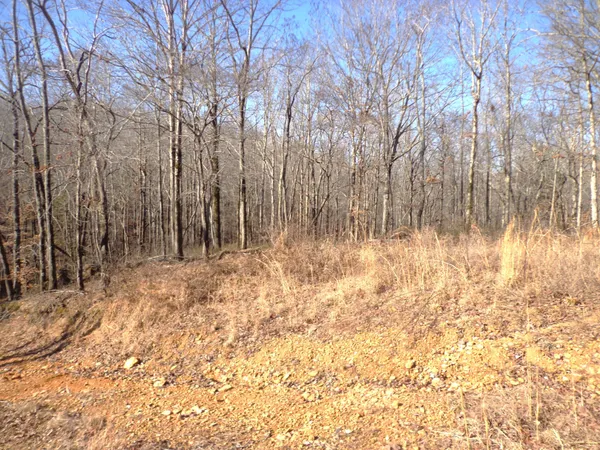 a view of a yard with a house