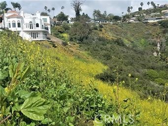 0 El Levante San Clemente, CA 92672 - Photo 1 of 5 a view of a house with a yard