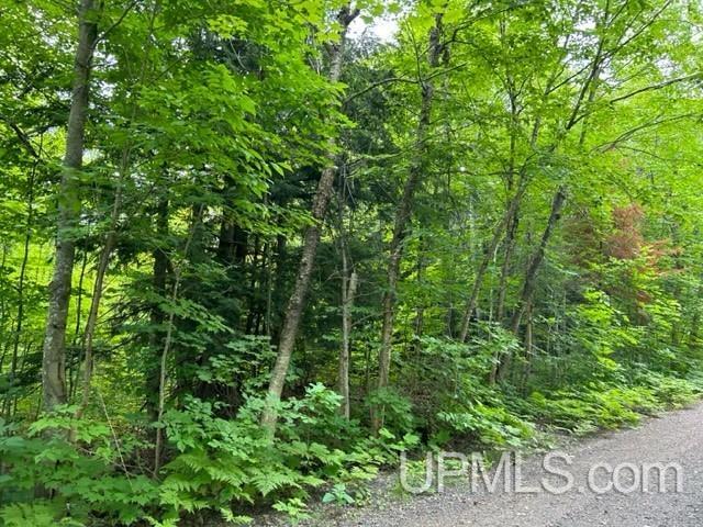 Tbd Lehtola Road Chassell, MI 49916 - Photo 10 of 59 Gallery Image 10