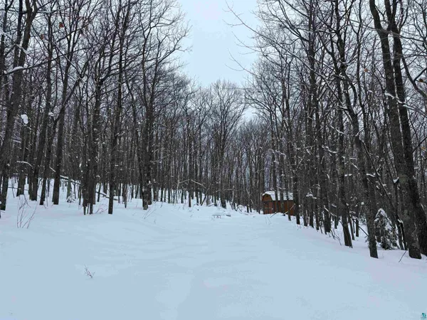 $62,500 | 79480 Sweet Fern Lane, Washburn, WI 54891