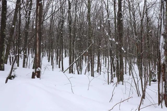 $63,500 | 79480 Sweet Fern Lane, Washburn, WI 54891