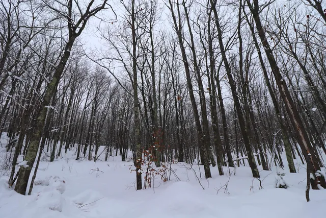 $63,500 | 79480 Sweet Fern Lane, Washburn, WI 54891