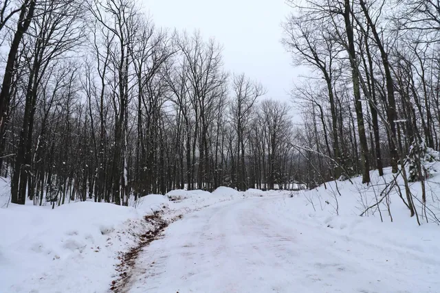 $63,500 | 79480 Sweet Fern Lane, Washburn, WI 54891