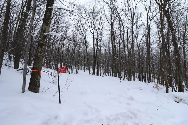 $63,500 | 79480 Sweet Fern Lane, Washburn, WI 54891