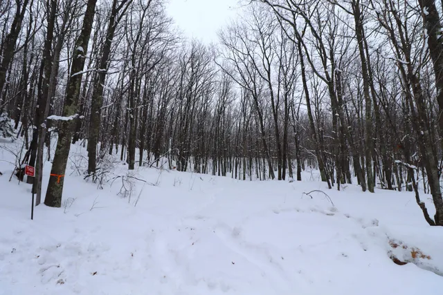 $63,500 | 79480 Sweet Fern Lane, Washburn, WI 54891