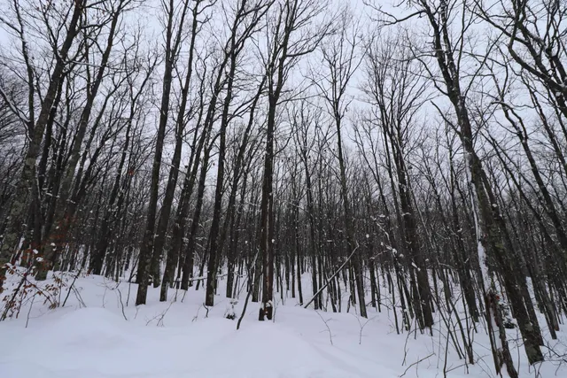 $63,500 | 79480 Sweet Fern Lane, Washburn, WI 54891