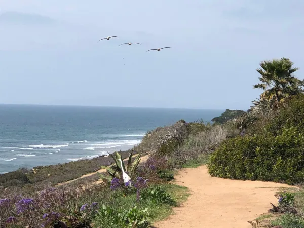 $8,500 | 238 Dolphin Cove Court, Del Mar, CA 92014