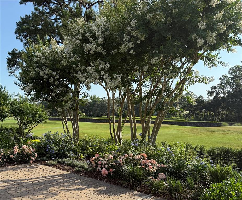 8761 Northwest 31st Lane Road Ocala, FL 34482 - Photo 22 of 25 a view of a garden