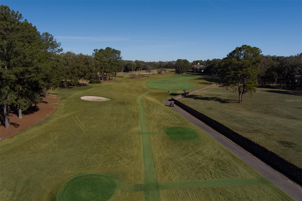 8761 Northwest 31st Lane Road Ocala, FL 34482 - Photo 25 of 25 a view of a lake with a yard