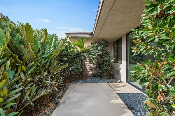 a view of a patio with plants and chairs