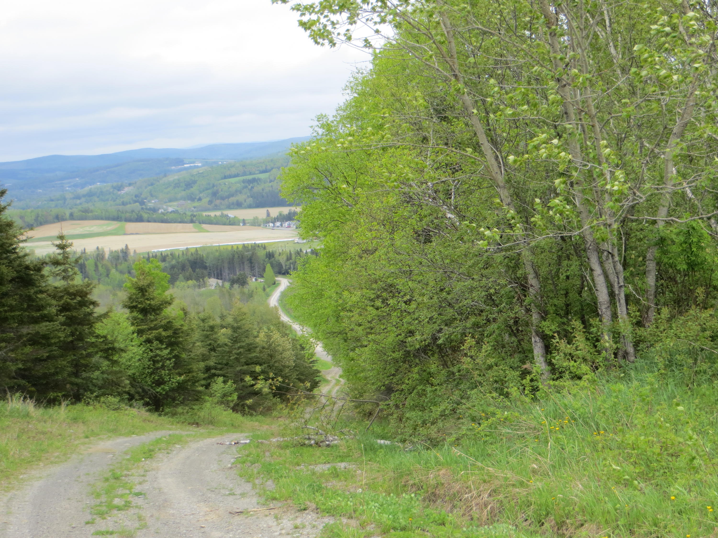 112 Ramsey Road Fort Kent, ME 04743 - Photo 10 of 20 IMG_9141