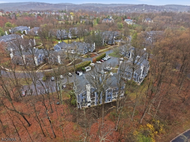 36 Countryside Drive Bernards, NJ 07920 - Photo 24 of 24