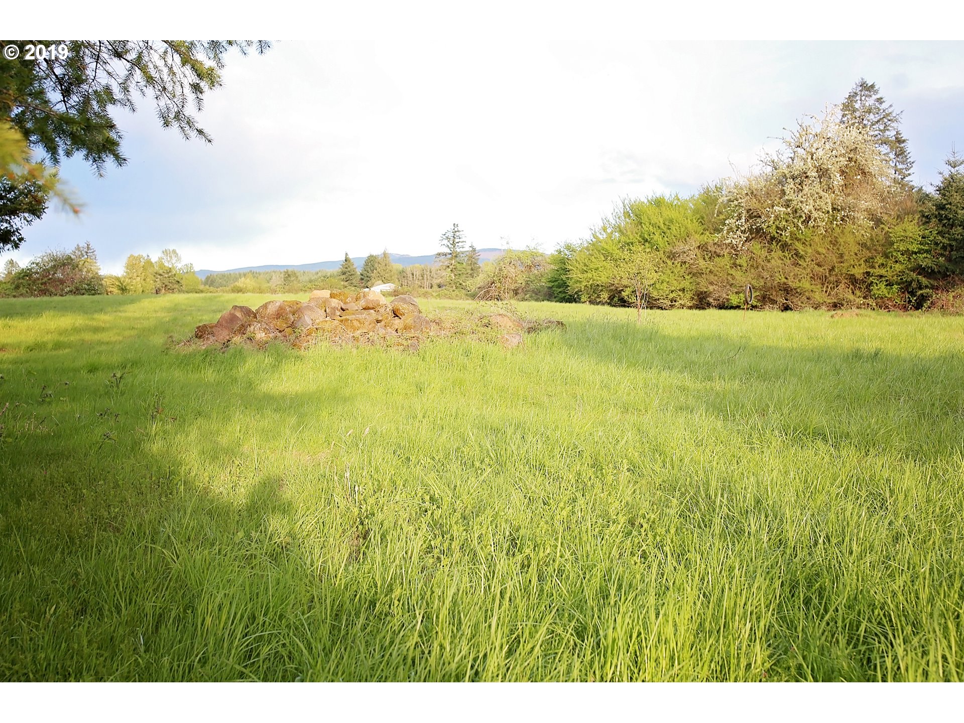 19718 Highway 211 Colton, OR 97017 - Photo 21 of 30 Gallery Image 21