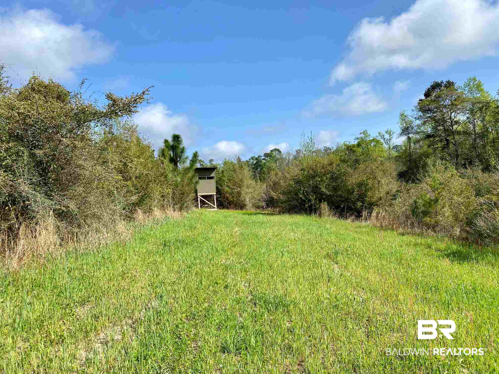 1069 Cemetery Road Range, AL 36473 - Photo 21 of 26