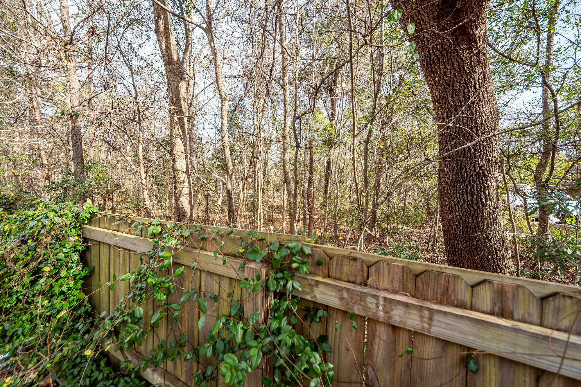 4020 Babbitt Street Charleston, SC 29414 - Photo 27 of 34 17