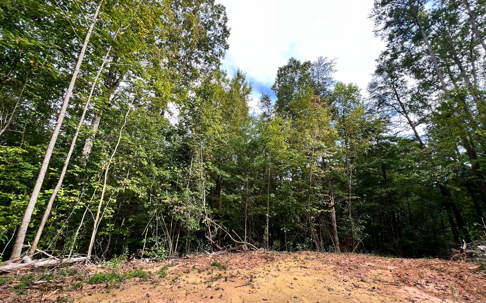 3799 Boardtown Road Ellijay, GA 30540 - Photo 10 of 10 Additional View