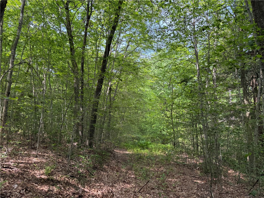Vl 106 Road Alma, NY 14708 - Photo 16 of 36 Gallery Image 16