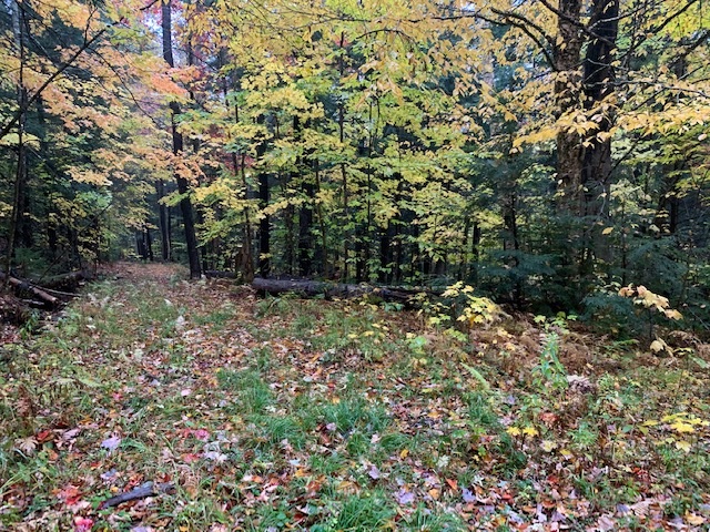 470 Middletown Road, Unit 81 Andover, VT 05143 - Photo 5 of 17