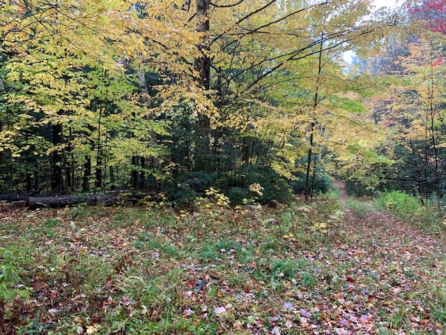 470 Middletown Road, Unit 81 Andover, VT 05143 - Photo 7 of 17