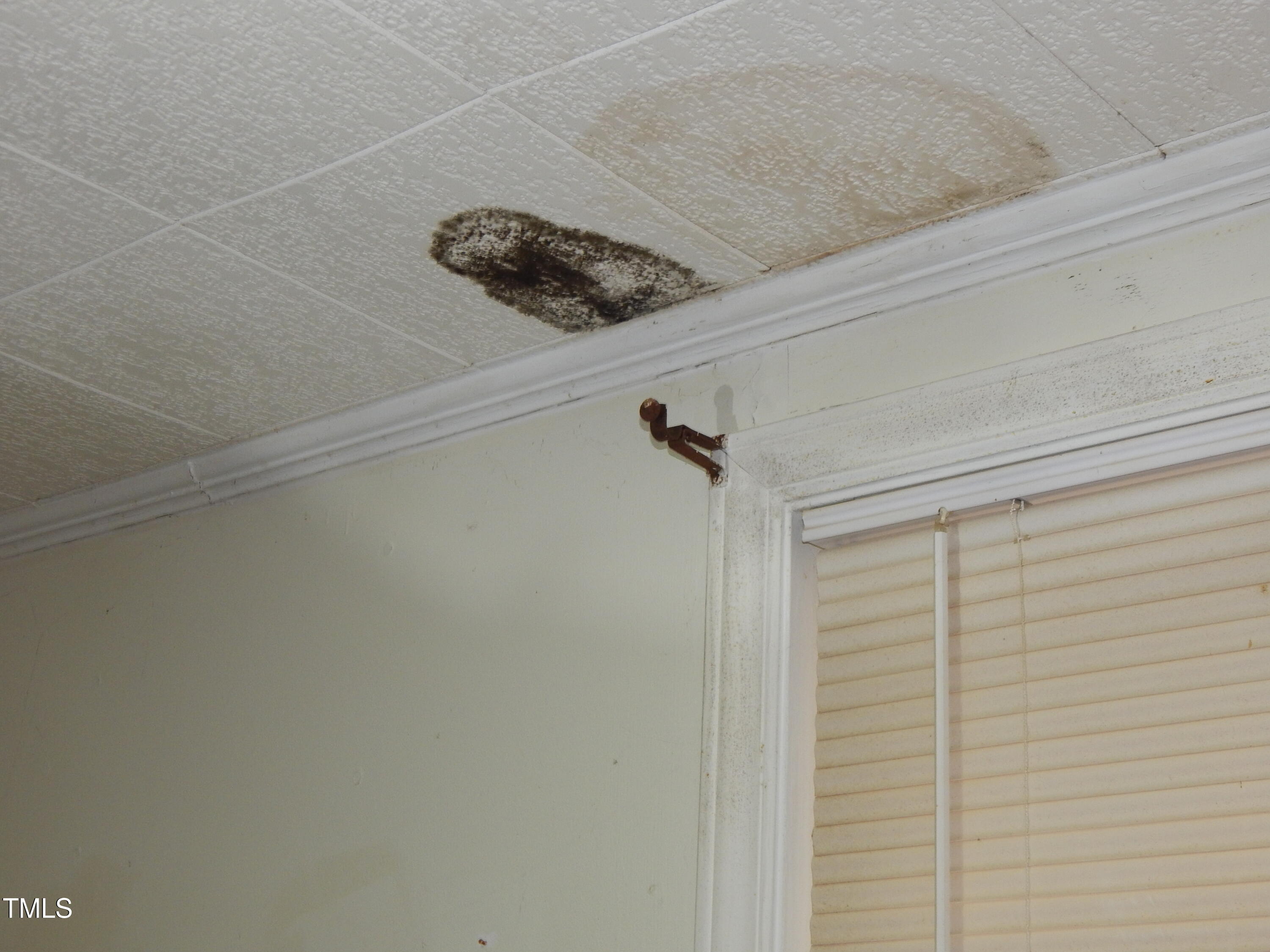 1108 Buckhorn Road Mebane, NC 27302 - Photo 17 of 31 Roof leak 2 black mold